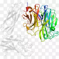 平面设计线艺术剪贴画设计-空若网 平面设计线艺术剪贴画设计-空若网