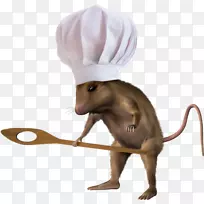 ��Ǿ���-������