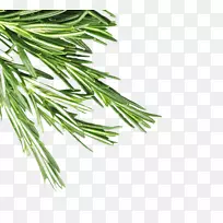 �ݱ������������Խ�¯-������