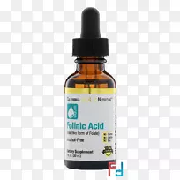 ��ʳ�����Ҷ��ά���ش�Ҷ��-������