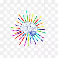 人脑神经系统电刺激脊髓脑-空若网 人脑神经系统电刺激脊髓脑-空若网