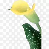 沼泽地健康爱情设计-空若网 沼泽地健康爱情设计-空若网