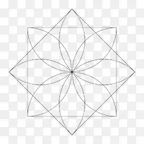 ������ѧ������-��ѧ-������