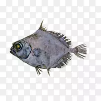 ��״���������.�������״����-������