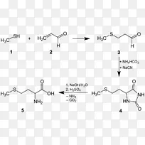 蛋氨酸半胱氨酸化学合成蛋白质性氨基酸化学-空若网 蛋氨酸半胱氨酸化学合成蛋白质性氨基酸化学-空若网