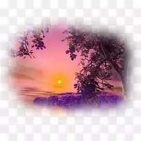 桌面壁纸电脑摄影-日落社区中心-空若网 桌面壁纸电脑摄影-日落社区中心-空若网