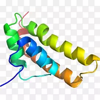 人体珠宝线剪贴画线-空若网 人体珠宝线剪贴画线-空若网