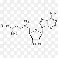 s-���ռ�����s-������-1-ͬ�Ͱ��װ���Ǽ׻�ת��ø-������