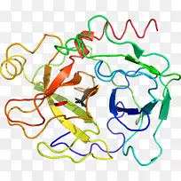 线点生物剪贴画线-空若网 线点生物剪贴画线-空若网