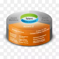 标签品牌字体-项目组合管理-空若网 标签品牌字体-项目组合管理-空若网