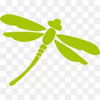 �ջ����洫��ֲ�ﾥ-������