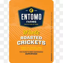 昆虫蟋蟀粉食.蟋蟀样昆虫-空若网 昆虫蟋蟀粉食.蟋蟀样昆虫-空若网