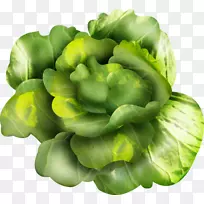 Éú²Ë¡¢Ê®×Ö»¨¿ÆÊ߲ˡ¢ËØÊ³¡¢´º²Ë¡¢¶¹Àà-¿ÕÈôÍø Éú²Ë¡¢Ê®×Ö»¨¿ÆÊ߲ˡ¢ËØÊ³¡¢´º²Ë¡¢¶¹Àà-¿ÕÈôÍø