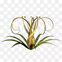 花卉设计花瓣花草-空若网 花卉设计花瓣花草-空若网