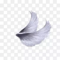 翅膀图像剪辑艺术-羽毛白色-空若网 翅膀图像剪辑艺术-羽毛白色-空若网