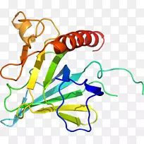 �ߵ������������-������