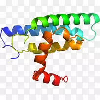 �����߶����������-������