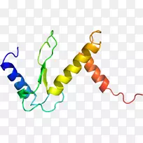 线点生物剪贴画线-空若网 线点生物剪贴画线-空若网