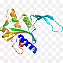 �����߶����������-������