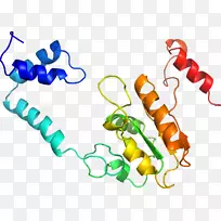 �����߶����������-������