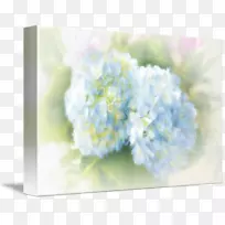 绣球花设计切花花束-空若网 绣球花设计切花花束-空若网