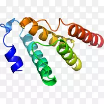 ʳƷ����Ь�߼�������-������