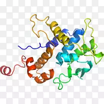 直线点生物动物剪贴画线-空若网 直线点生物动物剪贴画线-空若网