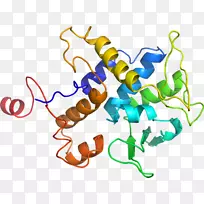 �ߵ������������-������