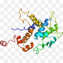 生物线动物剪贴画线-空若网 生物线动物剪贴画线-空若网