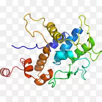 人体行为有机体线点剪贴画线-空若网 人体行为有机体线点剪贴画线-空若网