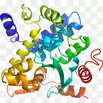 生物线动物剪贴画线-空若网 生物线动物剪贴画线-空若网