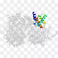 平面设计-设计-空若网 平面设计-设计-空若网