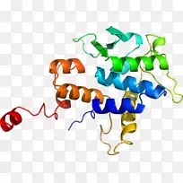 �����߶����������-������