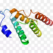 �����鱦������.���-������