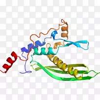 �����߶����������-������