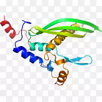 人体首饰有机体线剪贴画线-空若网 人体首饰有机体线剪贴画线-空若网