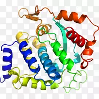 人体首饰有机体线剪贴画线-空若网 人体首饰有机体线剪贴画线-空若网