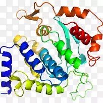 ���������л����߼�������-������