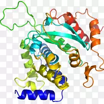 人体首饰有机体线剪贴画线-空若网 人体首饰有机体线剪贴画线-空若网