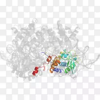 �����鱦�л���-�鱦-������