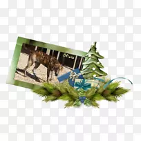 Ë®²Ê»¿¨Í¨ÂÌÉ«-°ÂÀûÍß-¿ÕÈôÍø Ë®²Ê»¿¨Í¨ÂÌÉ«-°ÂÀûÍß-¿ÕÈôÍø