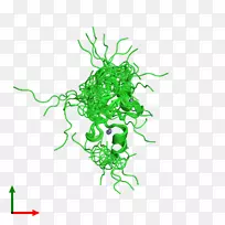 叶植物茎开花植物剪贴画-空若网 叶植物茎开花植物剪贴画-空若网