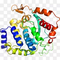 人体首饰有机体线剪贴画线-空若网 人体首饰有机体线剪贴画线-空若网