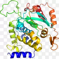 人体首饰有机体线剪贴画线-空若网 人体首饰有机体线剪贴画线-空若网