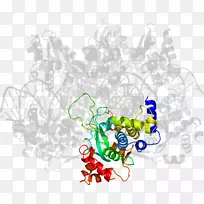 开花植物线剪贴画线-空若网 开花植物线剪贴画线-空若网