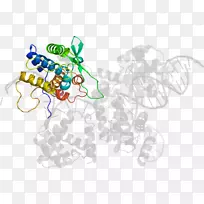 平面设计树动画剪贴画树-空若网 平面设计树动画剪贴画树-空若网