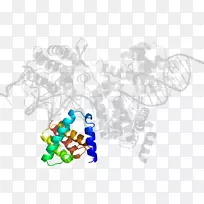 ���߼�����-��-������