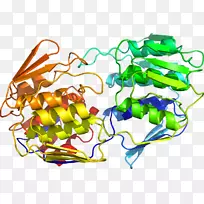 视觉艺术蔬菜食品剪贴画-蔬菜-空若网 视觉艺术蔬菜食品剪贴画-蔬菜-空若网