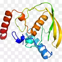 人体首饰有机体线剪贴画线-空若网 人体首饰有机体线剪贴画线-空若网