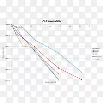 ֱ�ߵ����-������